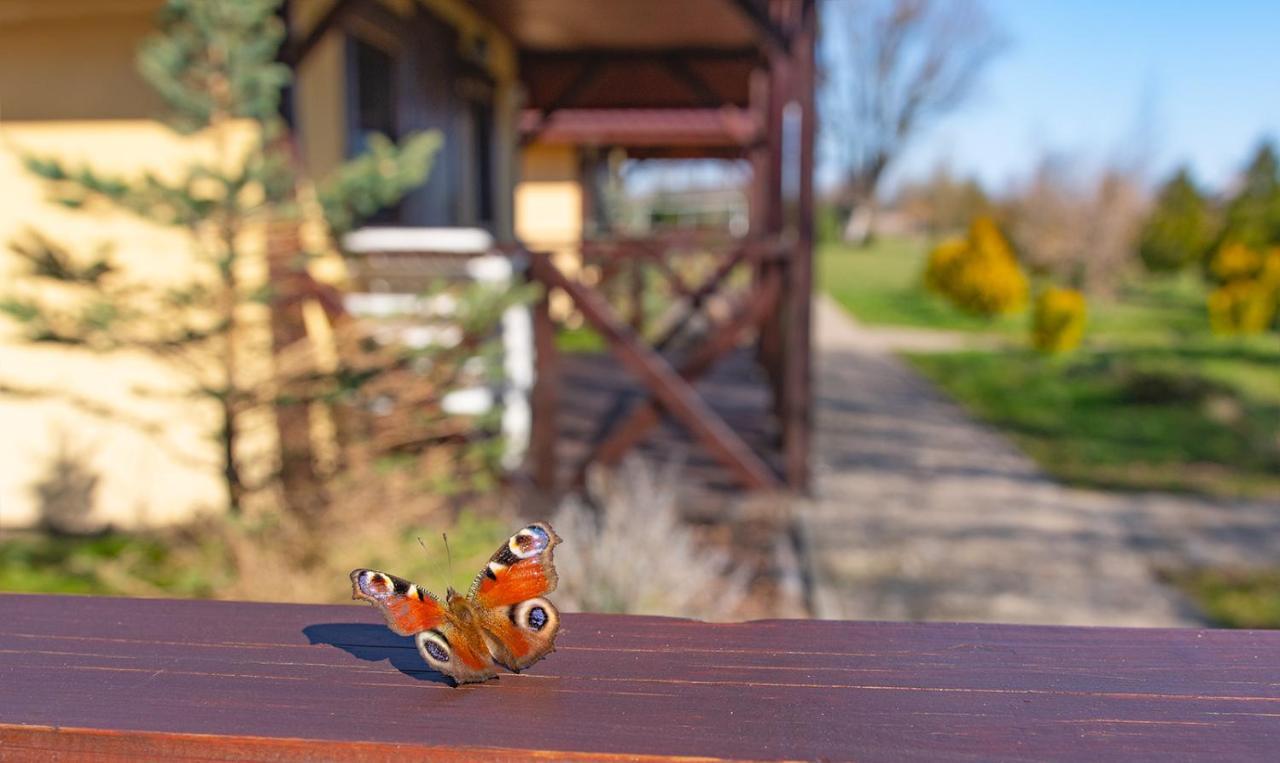 Przyjazna Osada - Domki I Apartamenty Ujście-Darłowskie Exterior foto